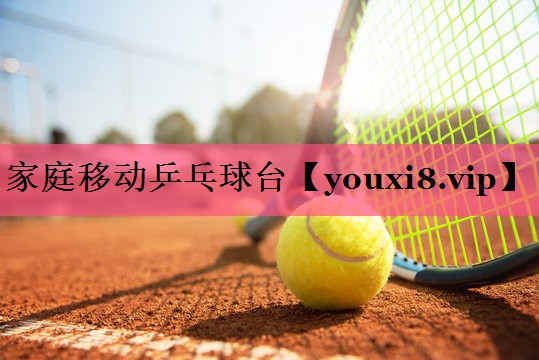 家庭移动乒乓球台