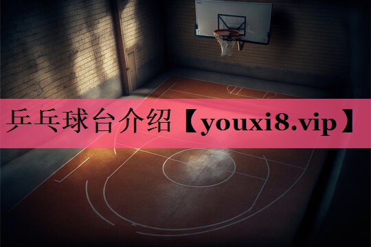 乒乓球台介绍
