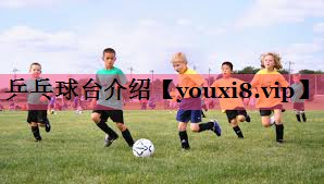 乒乓球台介绍