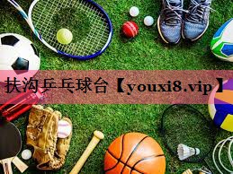 扶沟乒乓球台
