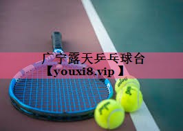 广宁露天乒乓球台