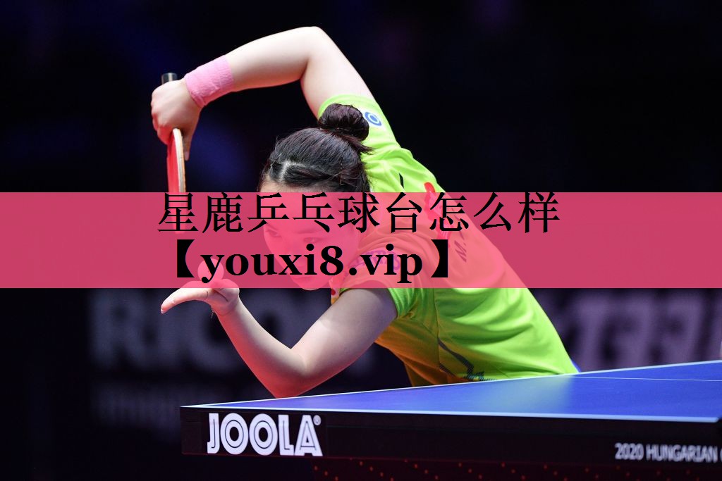 星鹿乒乓球台怎么样